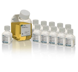 CTS&trade;&nbsp;CTS&trade; LV-MAX&trade; Transfection Kit